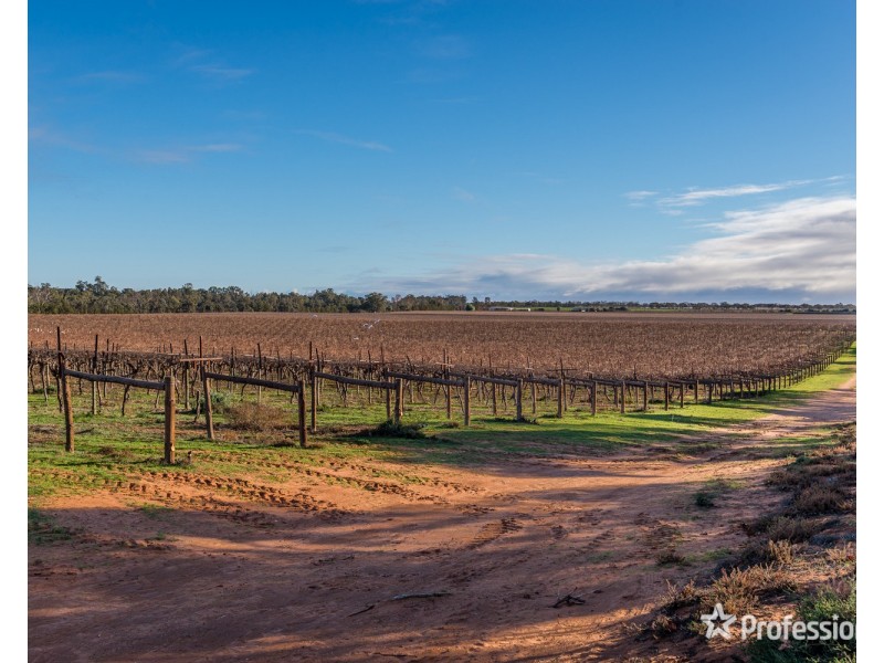 2756 Tapalin Mail Road, Euston NSW 2737