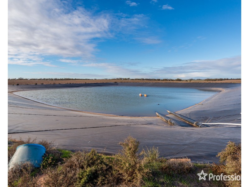 2756 Tapalin Mail Road, Euston NSW 2737