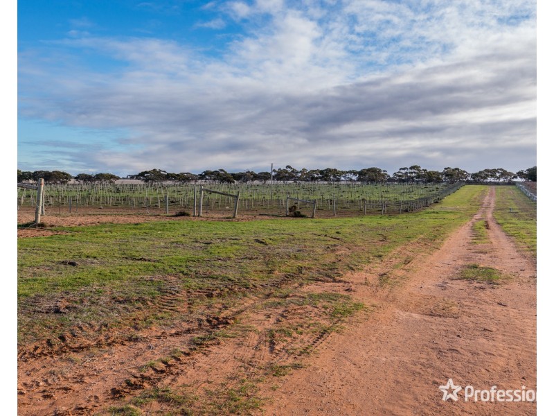 2756 Tapalin Mail Road, Euston NSW 2737