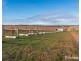 2756 Tapalin Mail Road, Euston NSW 2737
