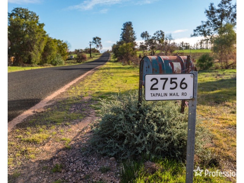 2756 Tapalin Mail Road, Euston NSW 2737