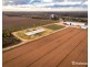 2756 Tapalin Mail Road, Euston NSW 2737