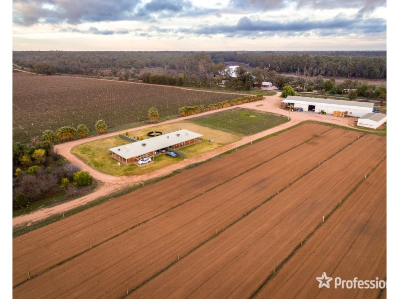 2756 Tapalin Mail Road, Euston NSW 2737