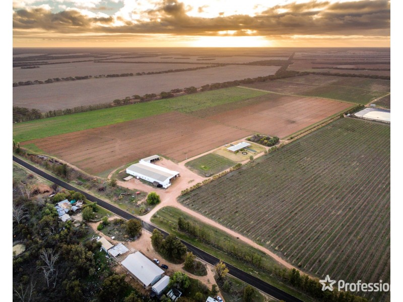 2756 Tapalin Mail Road, Euston NSW 2737