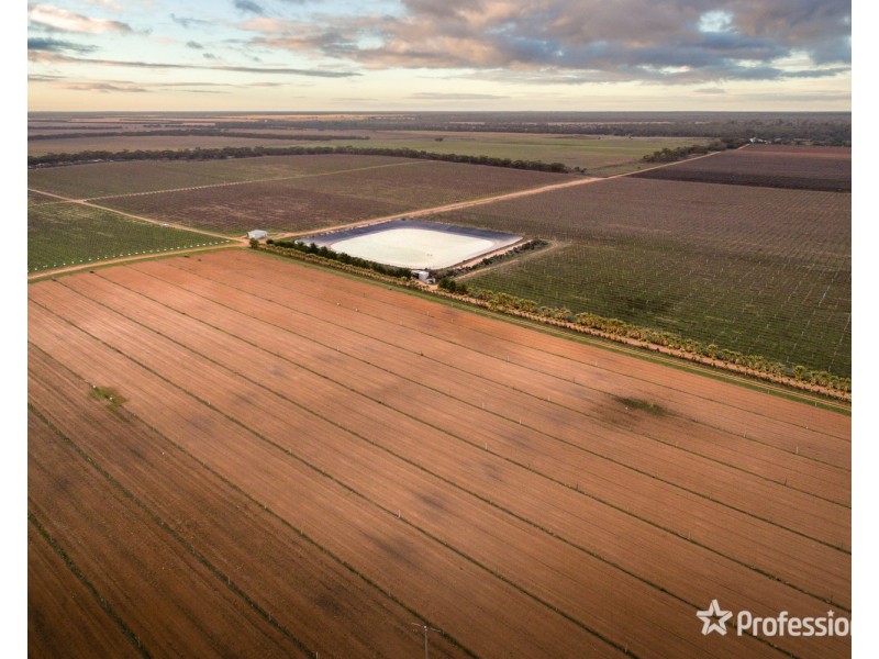 2756 Tapalin Mail Road, Euston NSW 2737