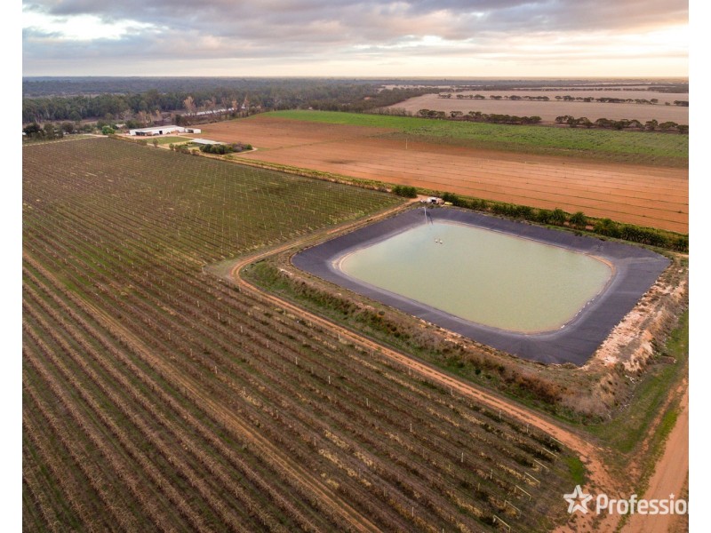 2756 Tapalin Mail Road, Euston NSW 2737