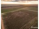 2756 Tapalin Mail Road, Euston NSW 2737