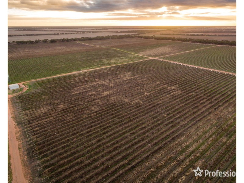 2756 Tapalin Mail Road, Euston NSW 2737