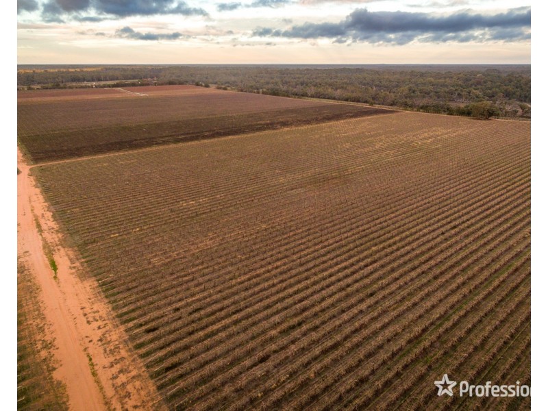 2756 Tapalin Mail Road, Euston NSW 2737