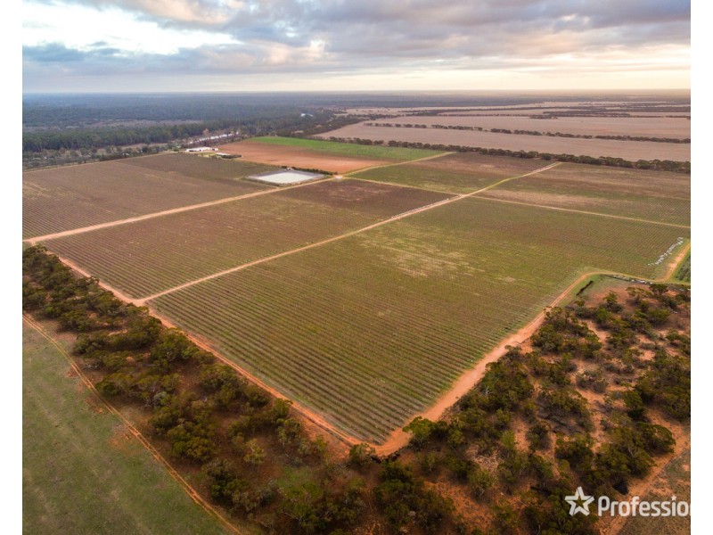 2756 Tapalin Mail Road, Euston NSW 2737