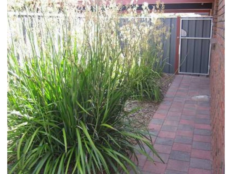 2/65 Walnut Avenue, Mildura VIC 3500