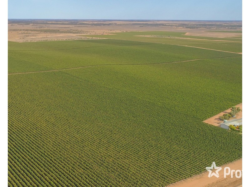 347 Lower Darling Road, Wentworth NSW 2648