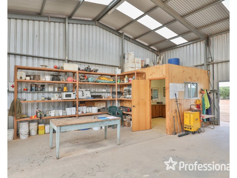 347 Lower Darling Road, Wentworth NSW 2648