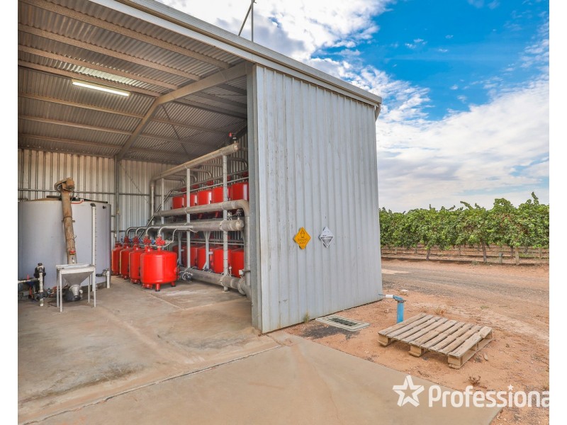 347 Lower Darling Road, Wentworth NSW 2648