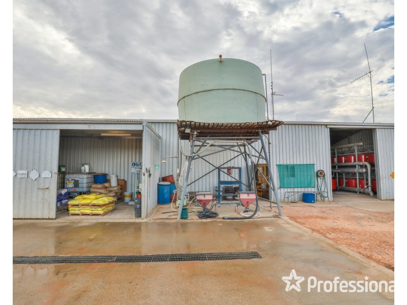 347 Lower Darling Road, Wentworth NSW 2648