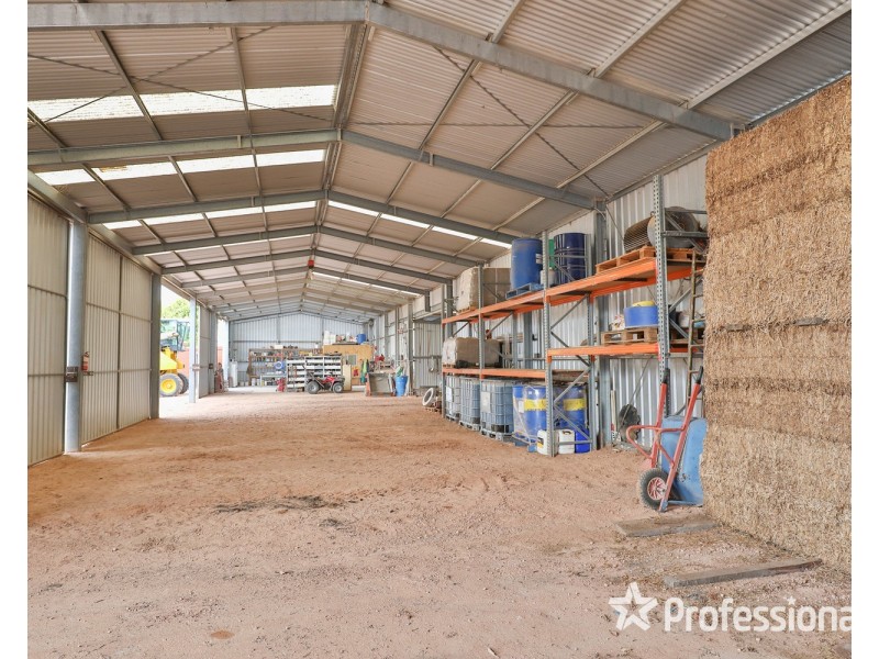 347 Lower Darling Road, Wentworth NSW 2648