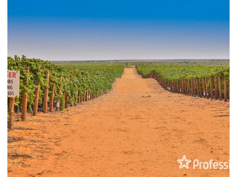 347 Lower Darling Road, Wentworth NSW 2648