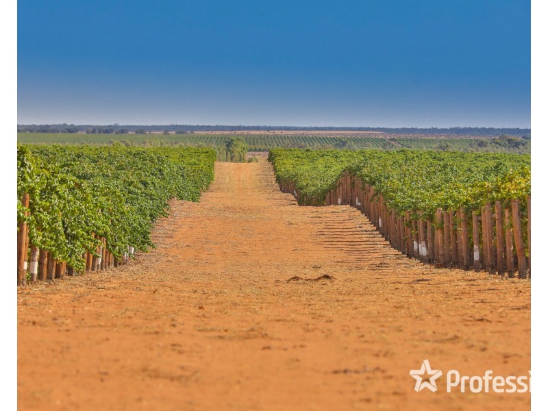 347 Lower Darling Road, Wentworth NSW 2648