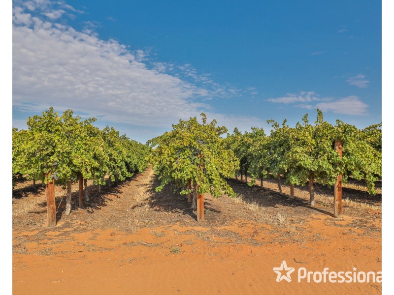 347 Lower Darling Road, Wentworth NSW 2648