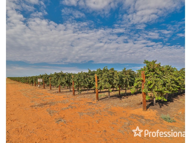 347 Lower Darling Road, Wentworth NSW 2648