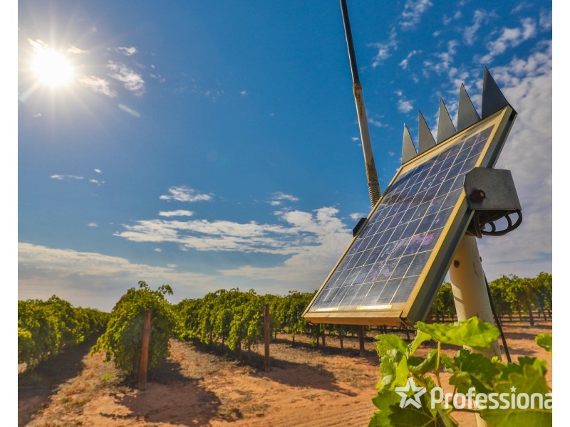 347 Lower Darling Road, Wentworth NSW 2648