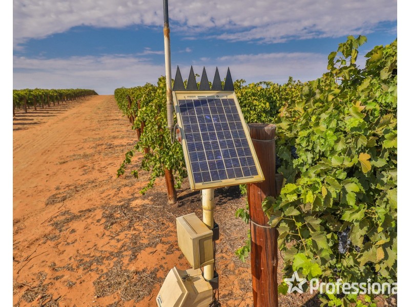 347 Lower Darling Road, Wentworth NSW 2648