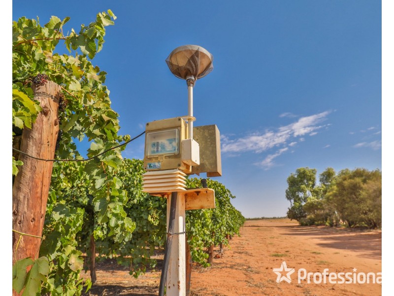 347 Lower Darling Road, Wentworth NSW 2648