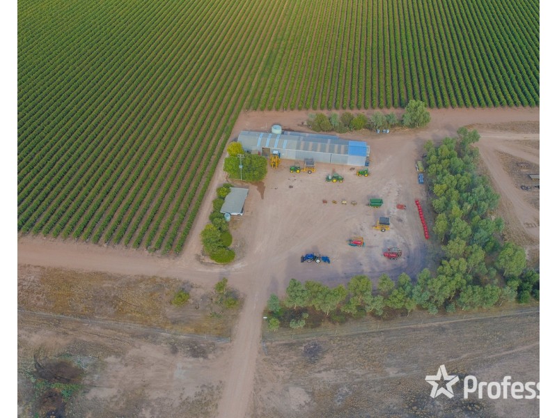 347 Lower Darling Road, Wentworth NSW 2648