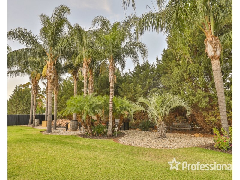 1 Riverview Rise, Gol Gol NSW 2738