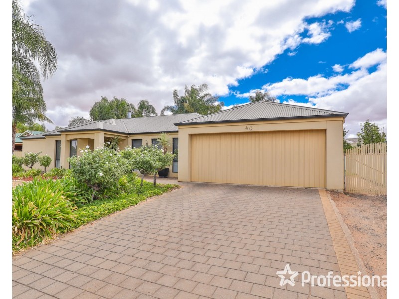 40 Wood Street, Gol Gol NSW 2738
