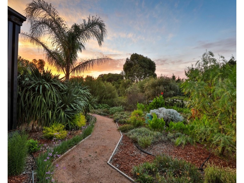 11 The Cobb & Co Way, Gol Gol NSW 2738