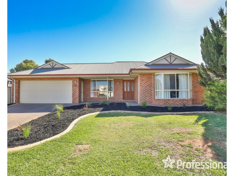 4 Fiona Drive, Gol Gol NSW 2738