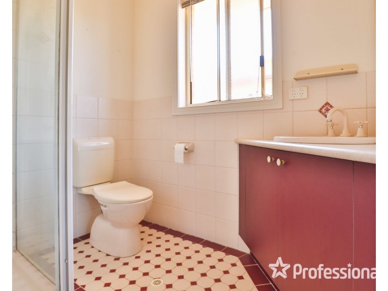 4 Fiona Drive, Gol Gol NSW 2738