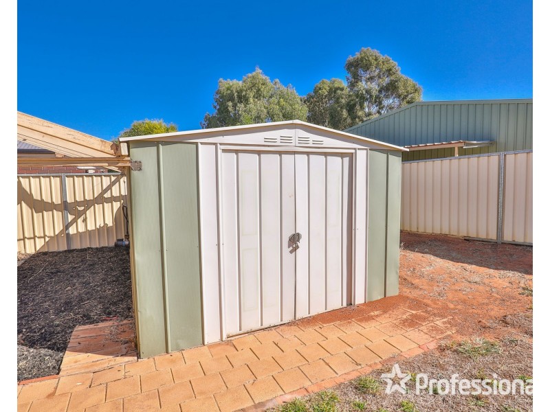 4 Fiona Drive, Gol Gol NSW 2738