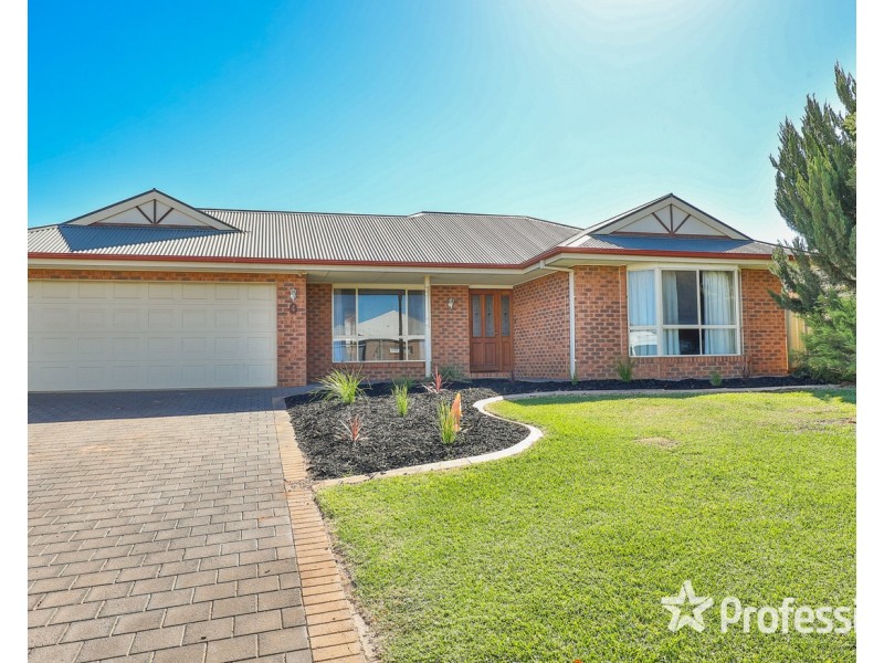 4 Fiona Drive, Gol Gol NSW 2738
