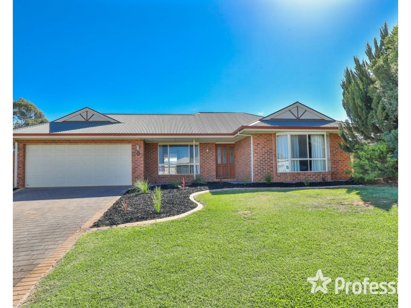 4 Fiona Drive, Gol Gol NSW 2738