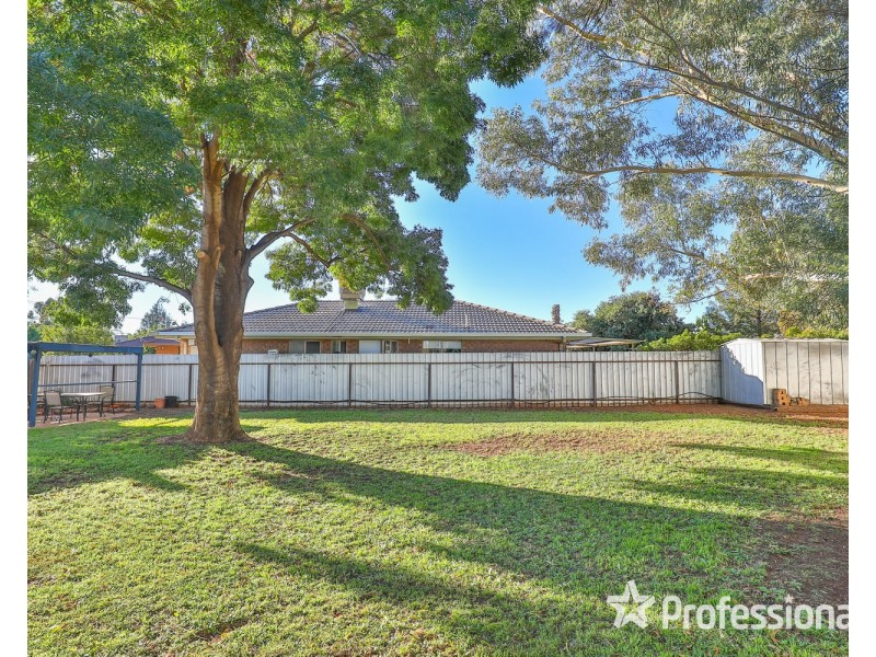19 Homestead Court, Mildura VIC 3500