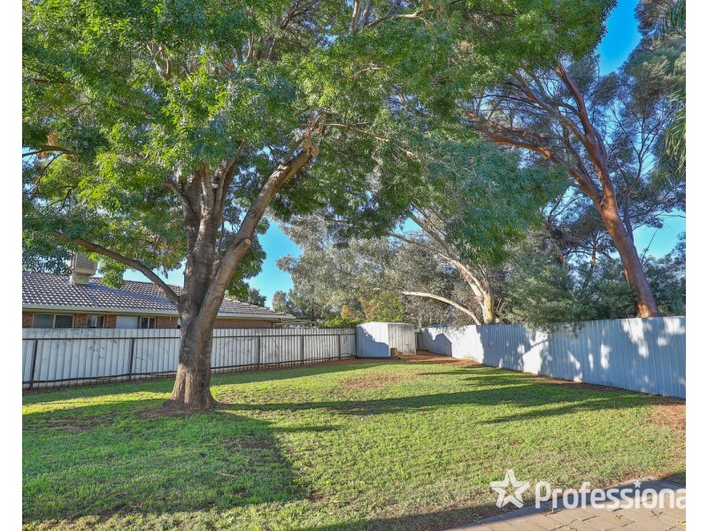 19 Homestead Court, Mildura VIC 3500