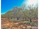 108 & 124 Tulloch Road, Red Cliffs VIC 3496