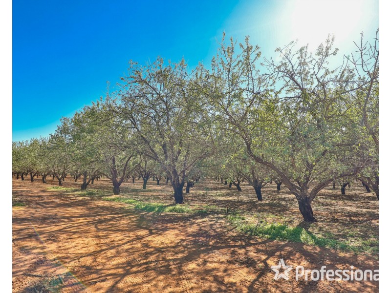 108 & 124 Tulloch Road, Red Cliffs VIC 3496