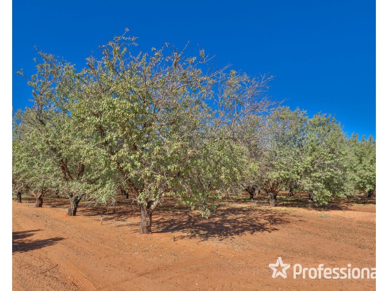 108 & 124 Tulloch Road, Red Cliffs VIC 3496
