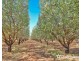 108 & 124 Tulloch Road, Red Cliffs VIC 3496