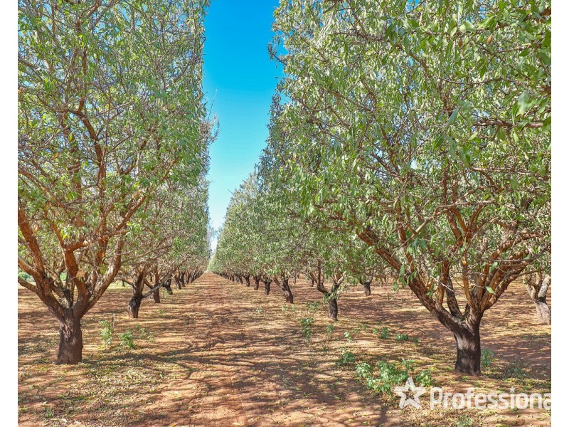 108 & 124 Tulloch Road, Red Cliffs VIC 3496