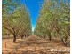 108 & 124 Tulloch Road, Red Cliffs VIC 3496