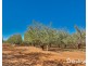 108 & 124 Tulloch Road, Red Cliffs VIC 3496