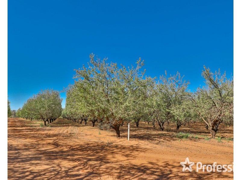 108 & 124 Tulloch Road, Red Cliffs VIC 3496