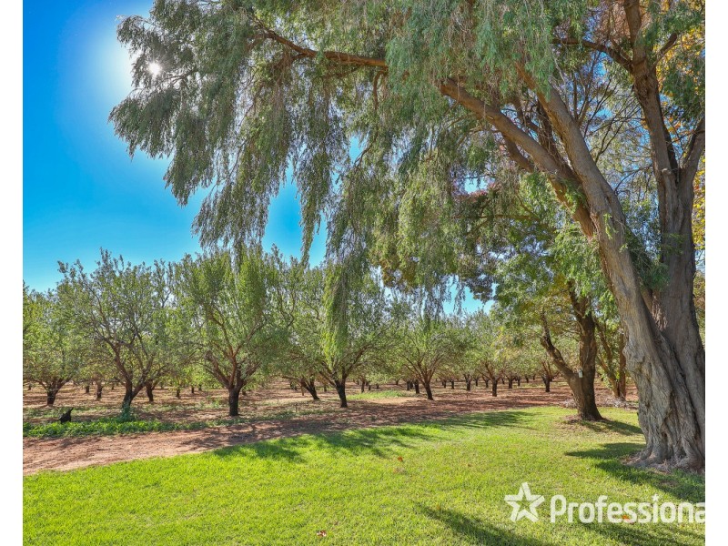 108 & 124 Tulloch Road, Red Cliffs VIC 3496