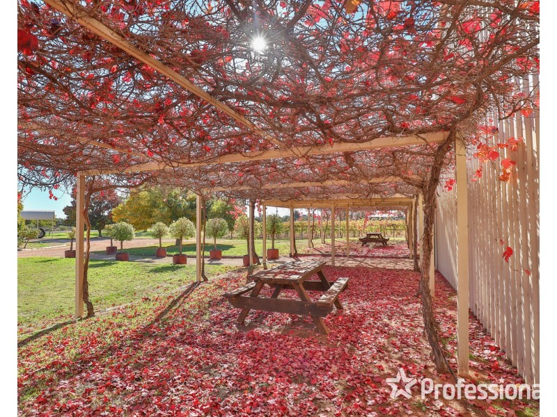 8514 Calder Highway, Red Cliffs VIC 3496