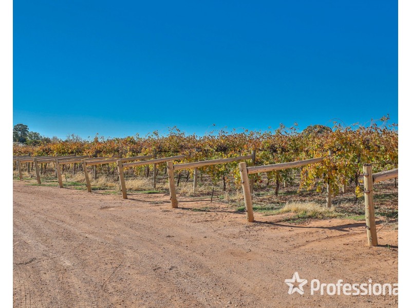 8514 Calder Highway, Red Cliffs VIC 3496