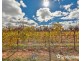 8514 Calder Highway, Red Cliffs VIC 3496